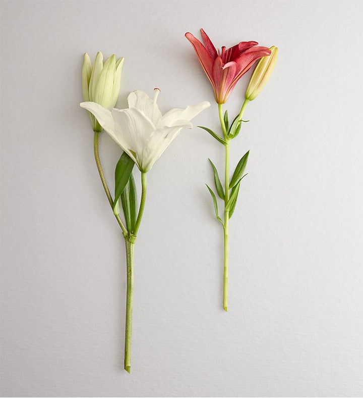 Holiday Lily Bouquet