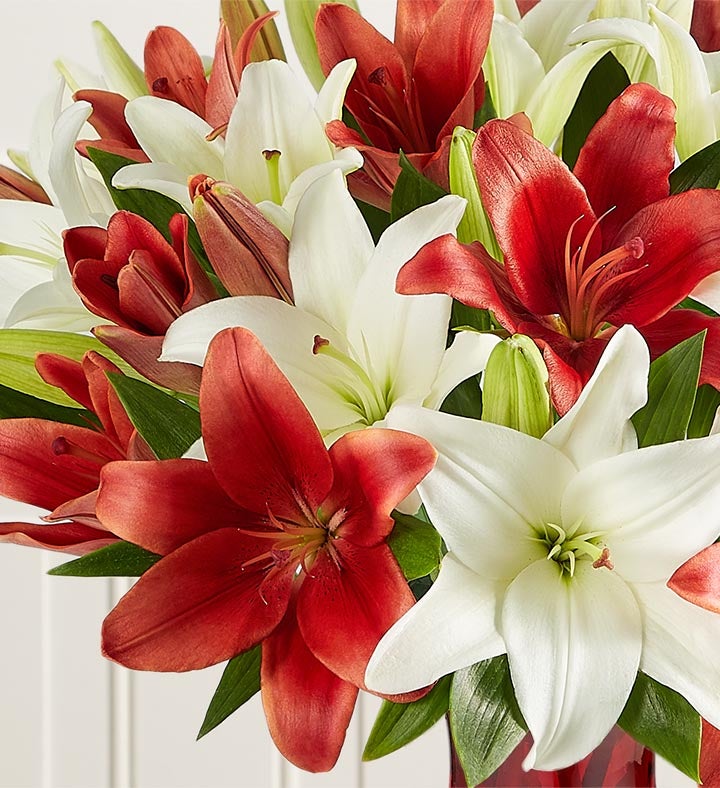 Holiday Lily Bouquet