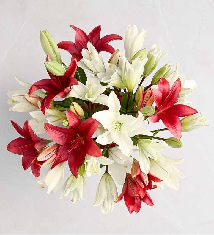 Crimson Christmas | Holiday Flowers, Wreaths & Centerpieces