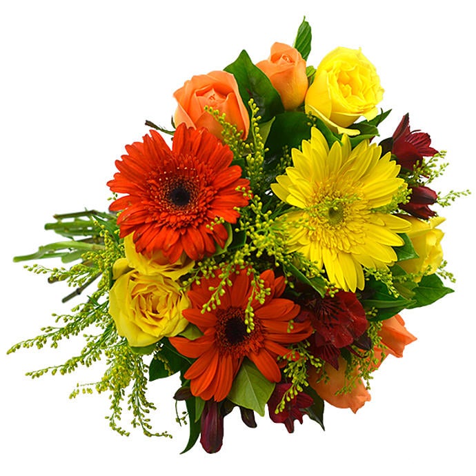 Tuscany Sun - Medium