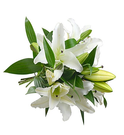 06 Stems of White Lilies