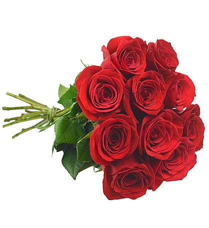 10 Colombian Red Roses