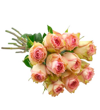 10 Esperance Colombian Roses