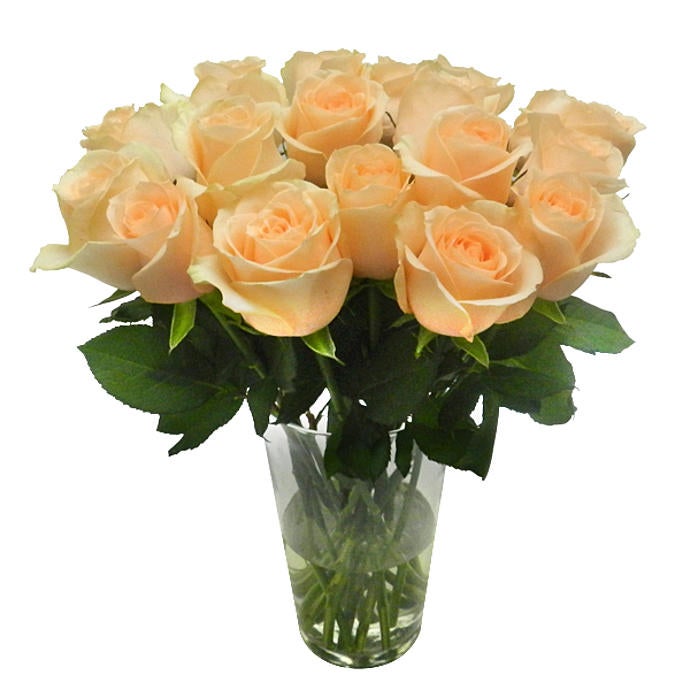 16 Salmon Brazilian Roses