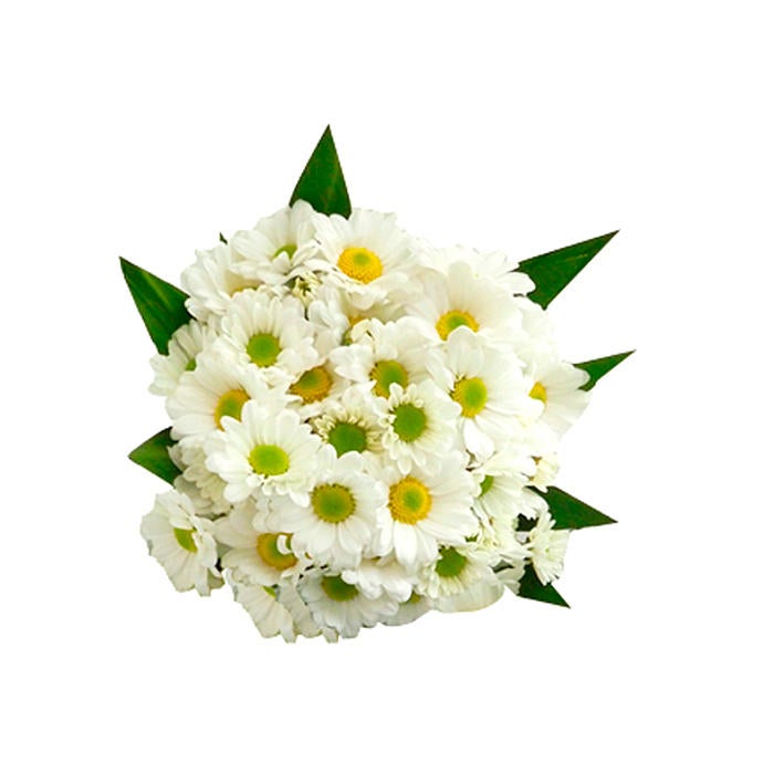 Daisies Bouquet