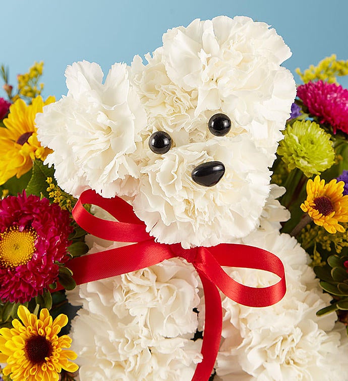 a-DOG-able® in a Basket | 1800flowers.com