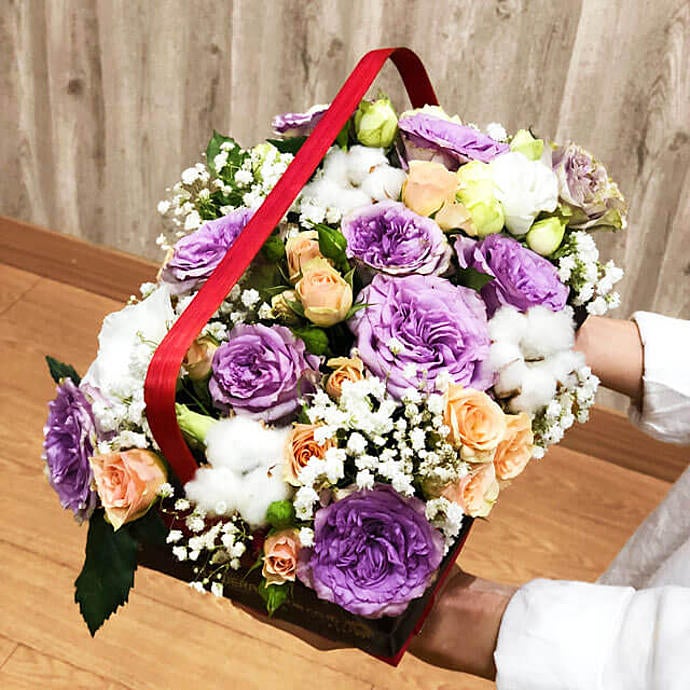 Jasmine's Whole New World