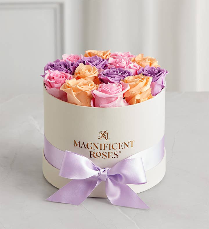 Magnificent Roses® Classic Sorbet