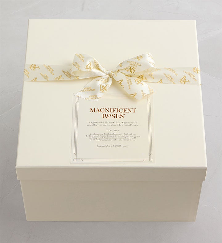 Magnificent Roses® Preserved Kaleidoscope Roses