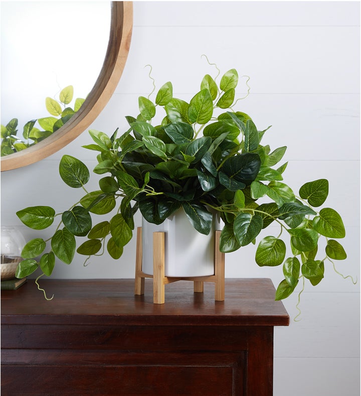 Faux Trailing Green Plant