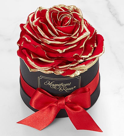 Magnificent Roses® Preserved Gold Kissed Red Rose