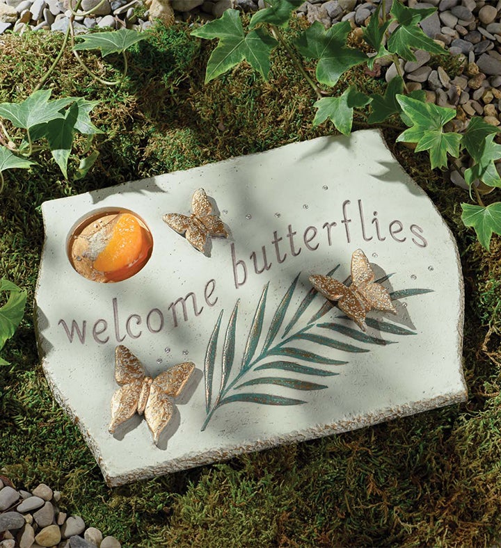 Butterfly Garden Puddler