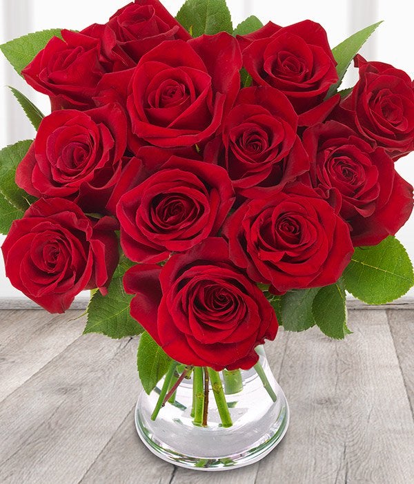 Red Roses