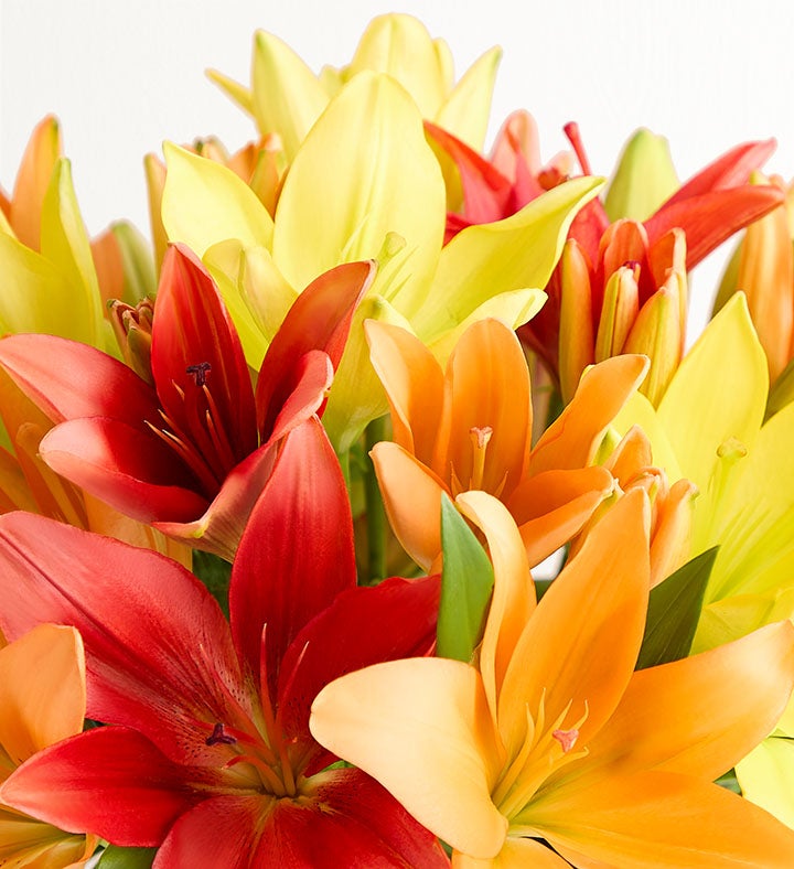 Autumn Lily Bouquet + Free Vase