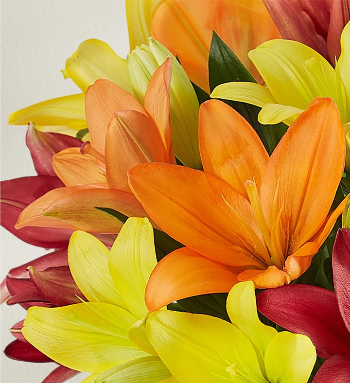 Autumn Lily Bouquet + Free Vase