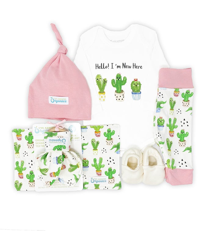 Personalized Baby Girl Gift Basket, Baby Cactus