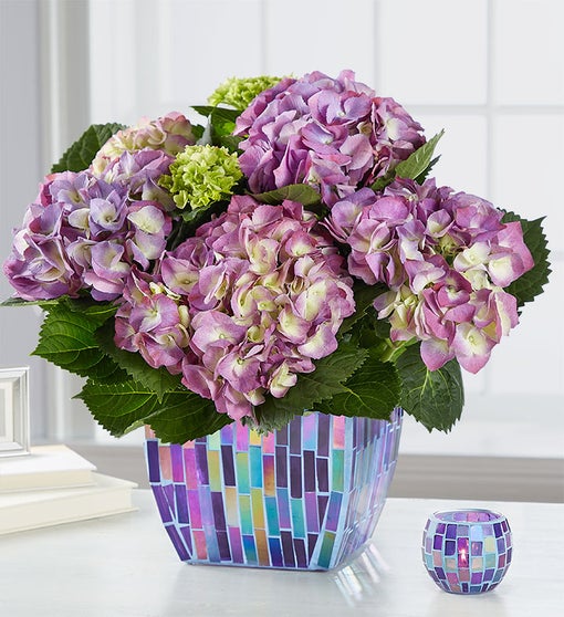 Hydrangea in Mosaic Planter