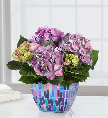 Monthly Variety Club