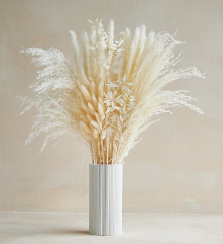 Ivory Pampas Set