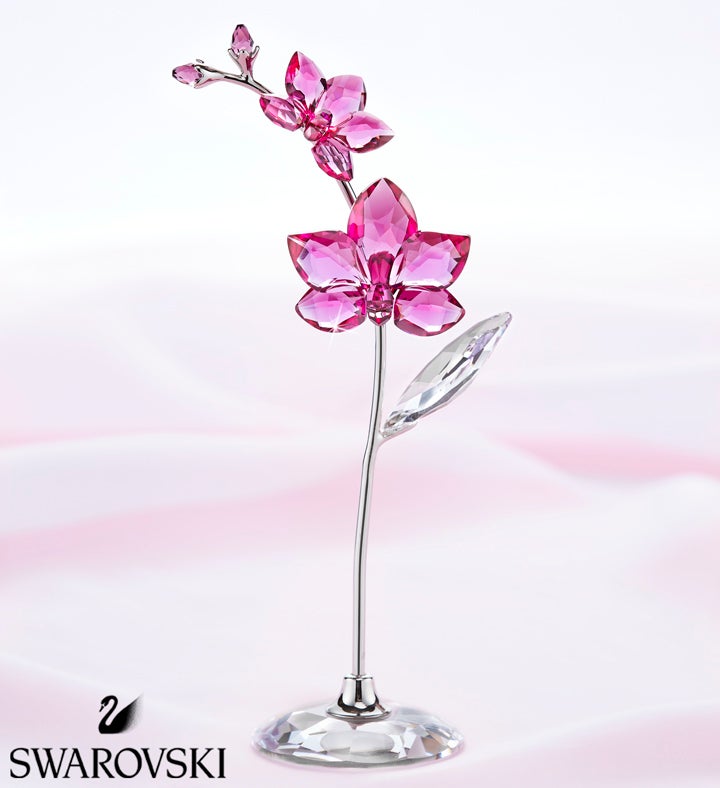 Swarovski Flower Dreams Orchid