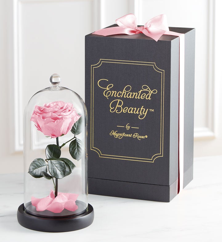 Enchanted Beauty™ by Magnificent Roses®