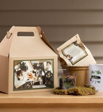 Seeds of Life Tree Kit for Sympathy