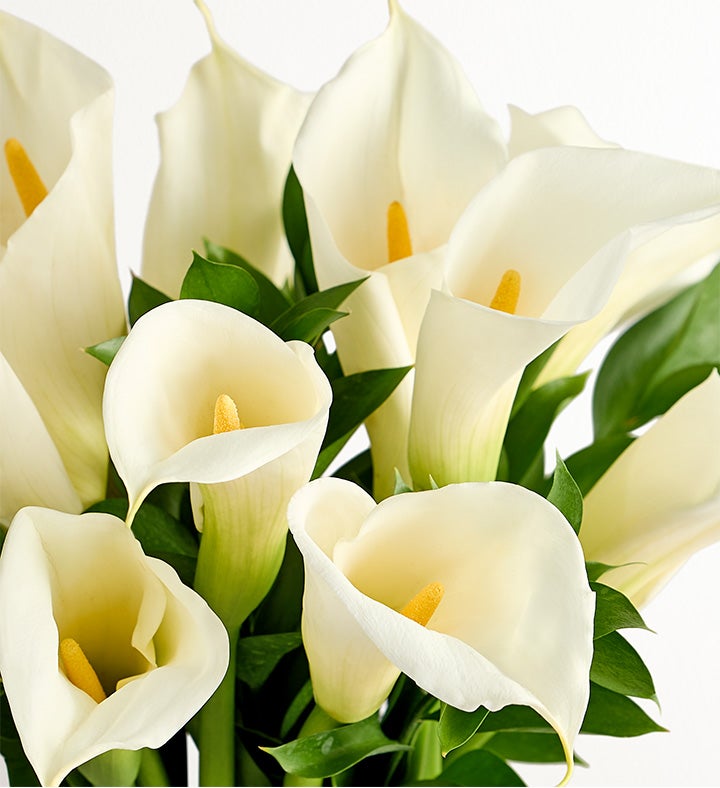 Sending Peaceful Wishes Bouquet