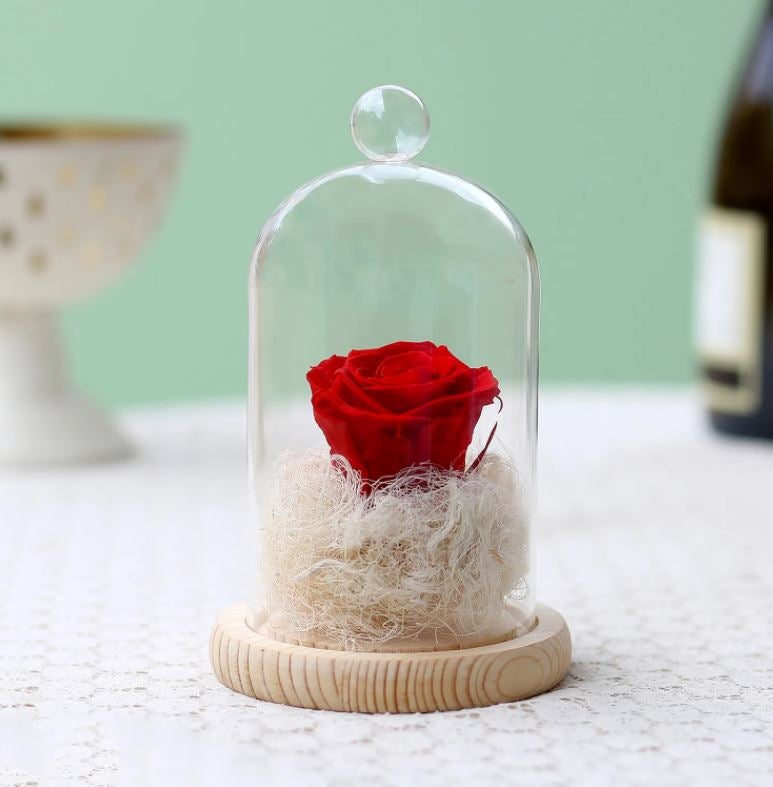 Love n Romance Forever Rose