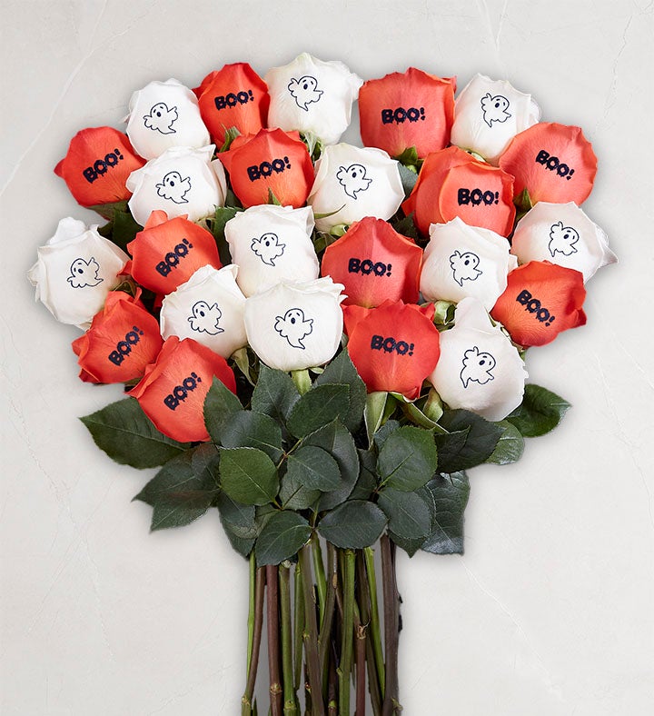 Boo Blooms Conversation™ Roses