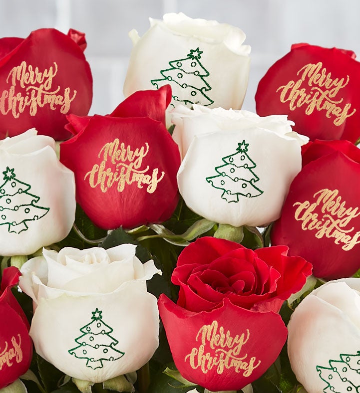 Conversation Roses™ Merry Christmas | 1800Flowers.com