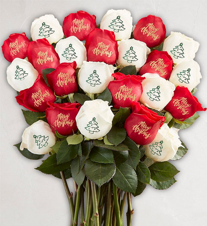 Conversation Roses™ Merry Christmas