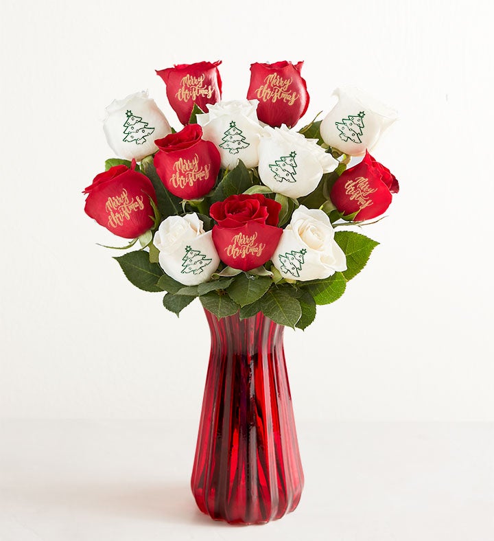 Conversation Roses™ Merry Christmas