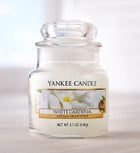 Blooming Gardenia Plant in Basket