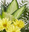Dish Garden With Fresh Cut Flowers For Sympathy
