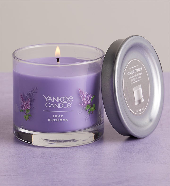 Fragrant Lilac Plant