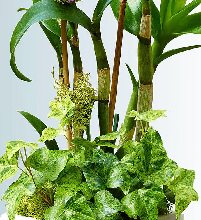 18948alt_view2_092717