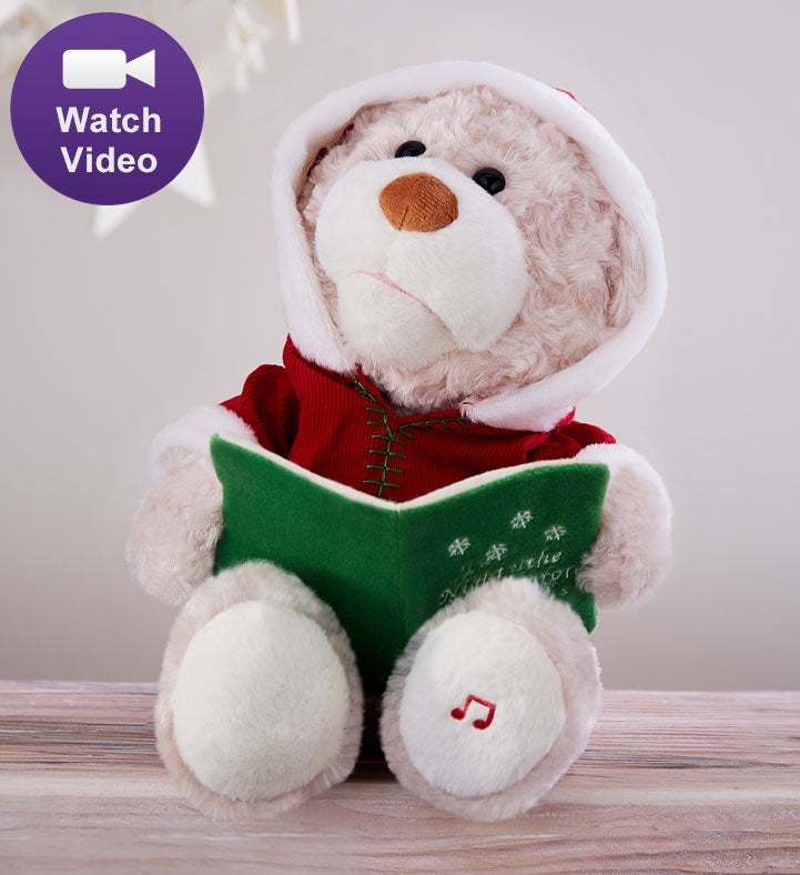 Night Before Christmas Storytime Bear