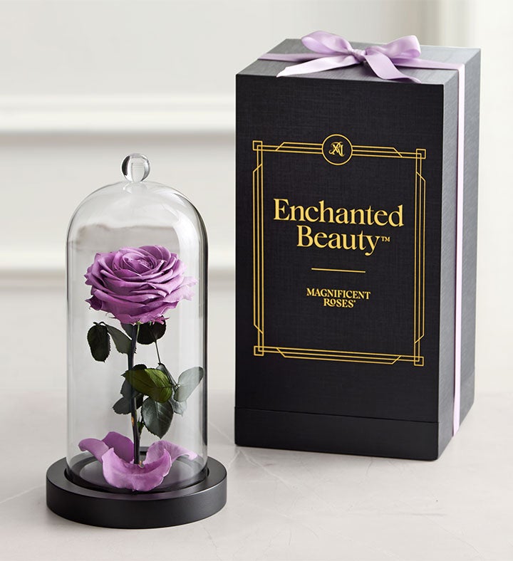 Enchanted Beauty™ by Magnificent Roses® Lavender