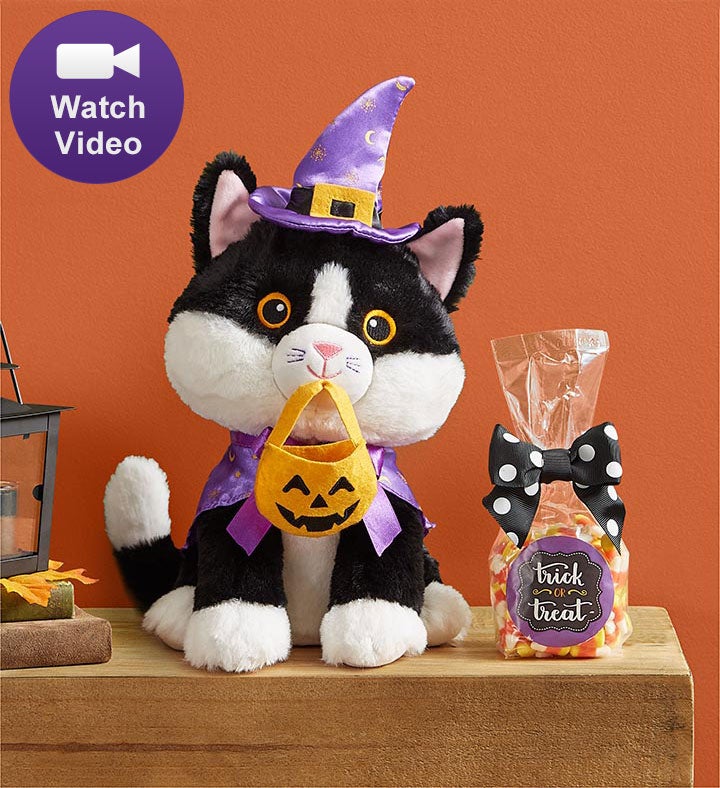 Animated Trick or Treat Cat with Candy Corn