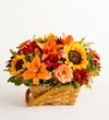 Fields of Europe® for Fall Basket