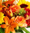 Fields of Europe® for Fall