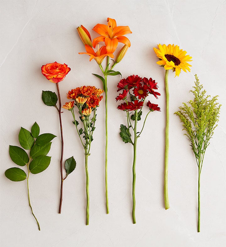 Fields of Europe® for Fall