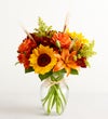 Fields of Europe® for Fall