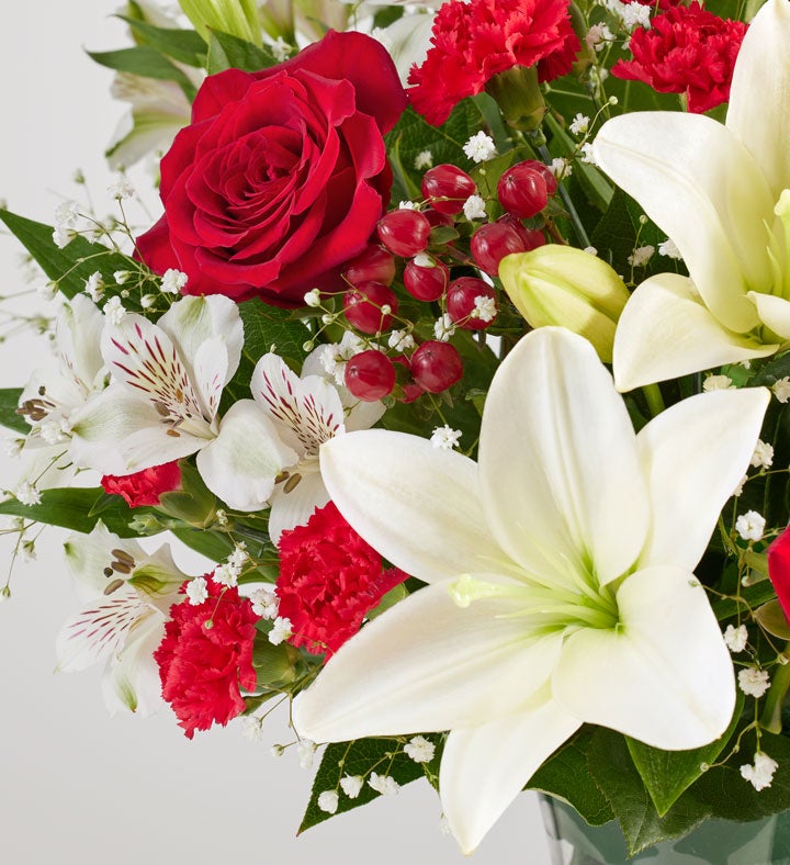 Fields of Europe® Bliss