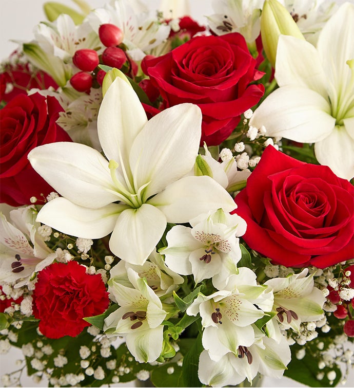 Fields of Europe® Christmas