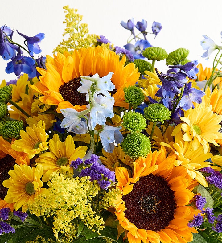 Fields of Europe® Summer