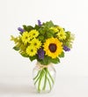 Fields of Europe® Summer