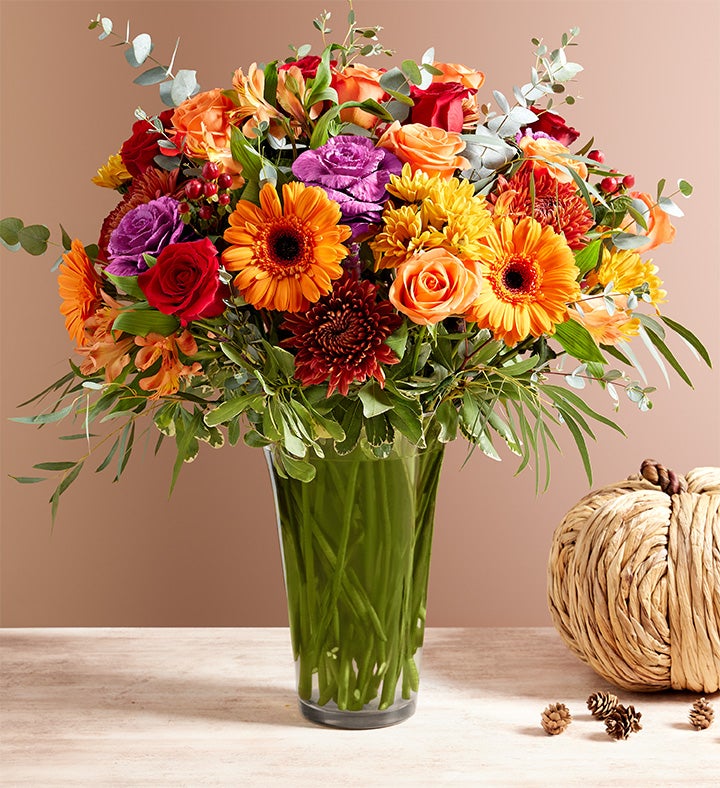 Garden of Grandeur® for Fall