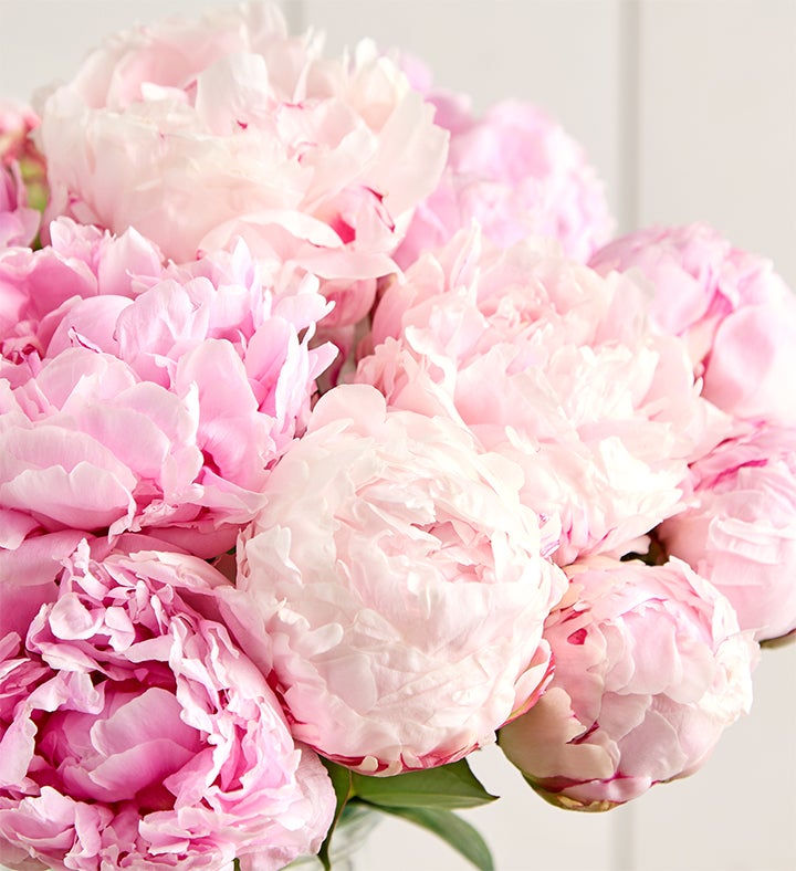 Precious Peony Bouquet