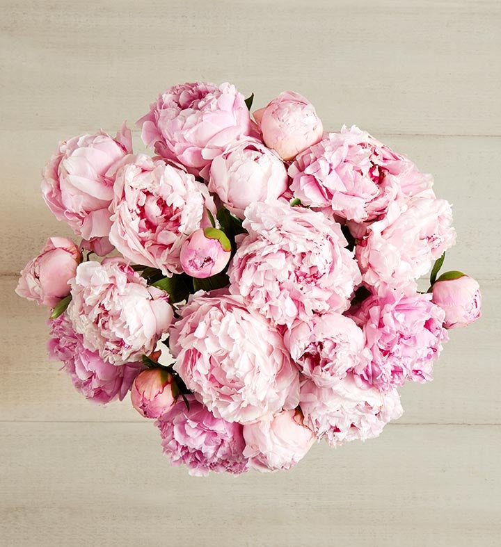 Precious Peony Bouquet